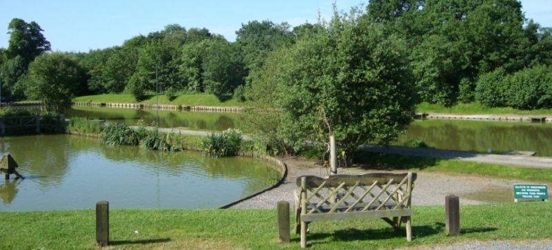 Hawkhurst Fish Farm