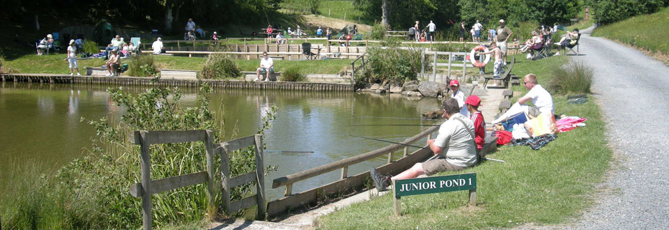 Junior Fishing Ponds - Hawkhurst Fish Farm